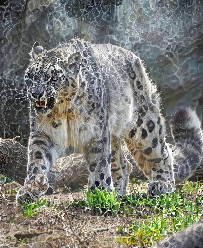 Snow Leopard