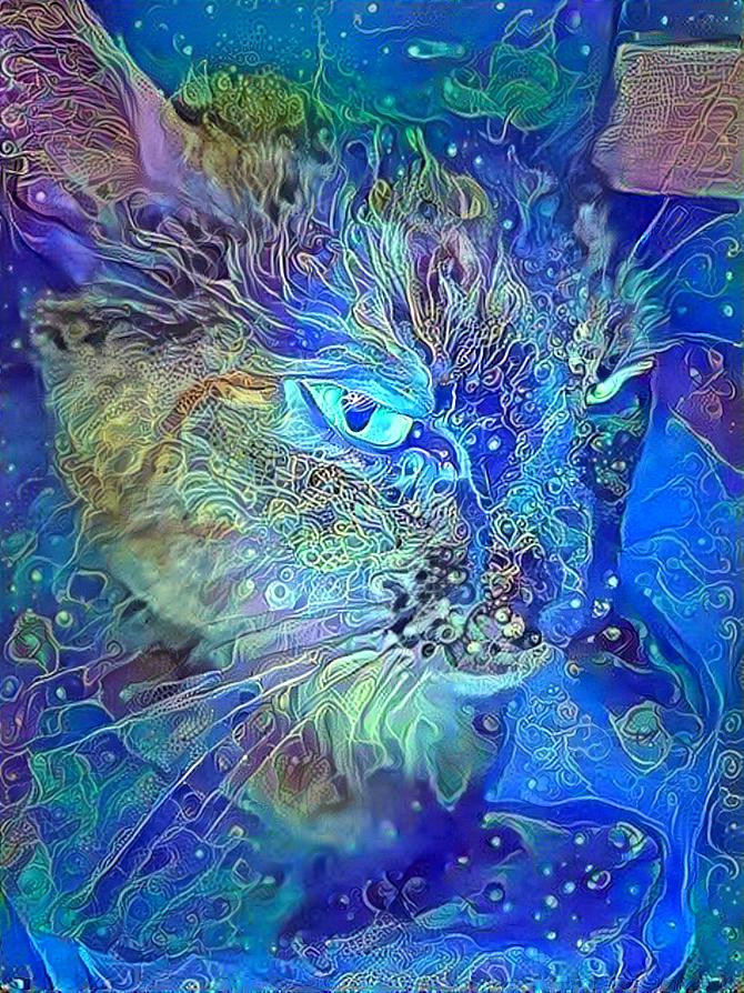 Galaxy Cat