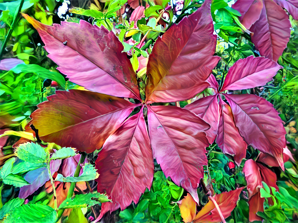 full fall colors