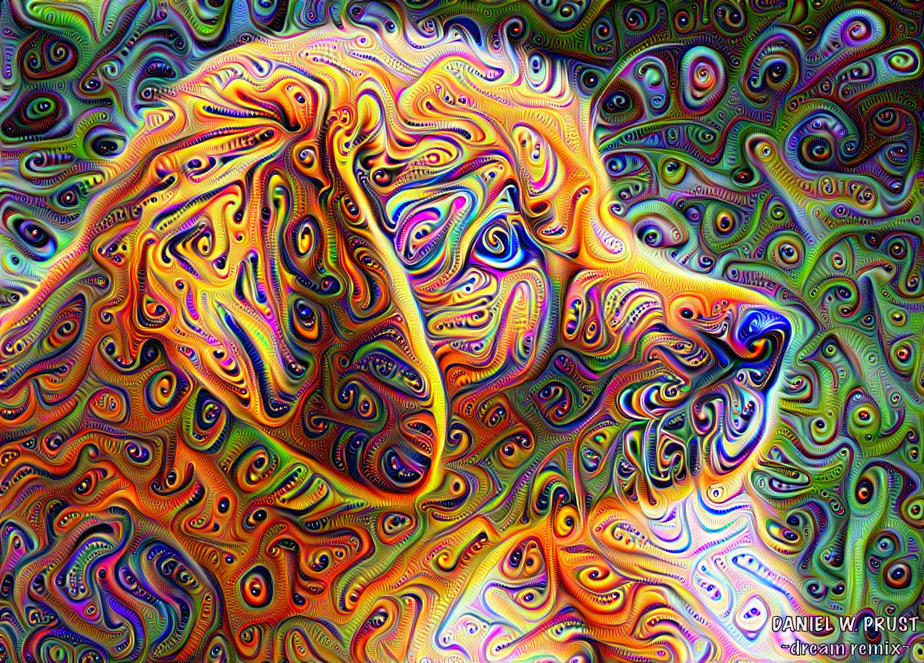 Deep Dream Remix by Daniel W. Prust