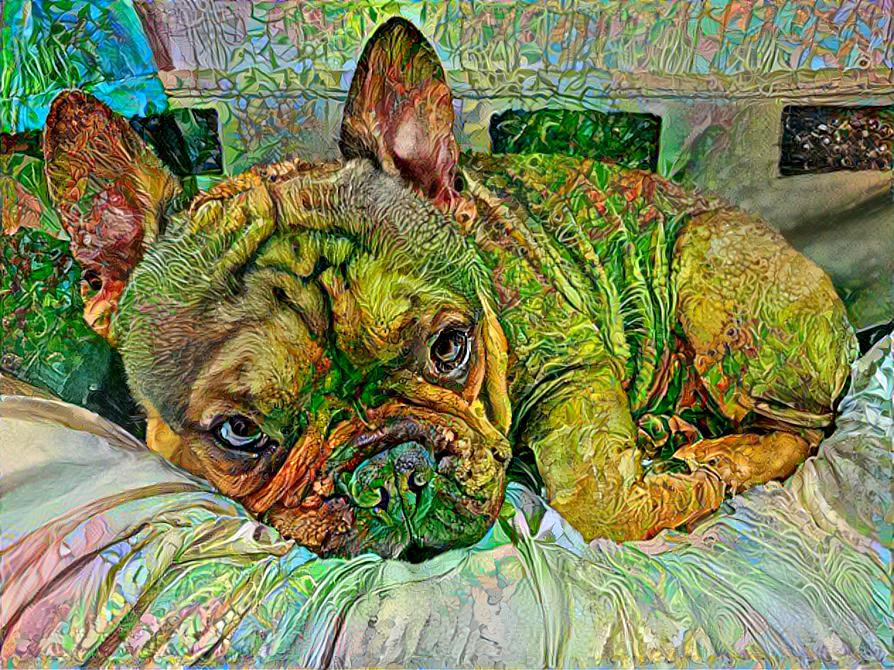 Fantastic Frenchie