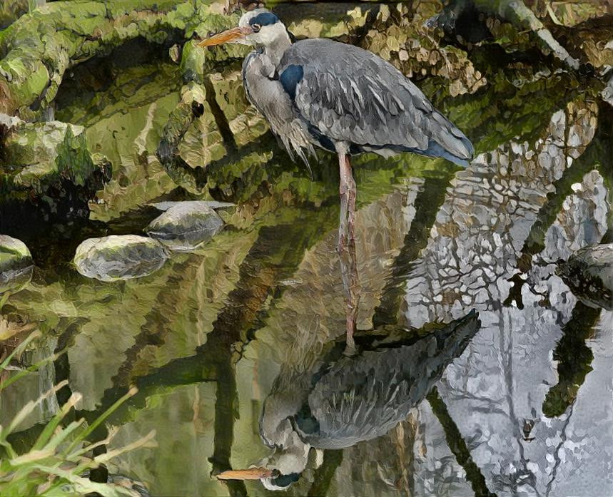 Wading bird Reflection