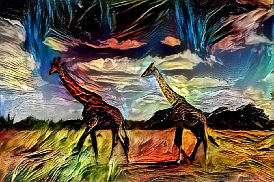 Giraffes