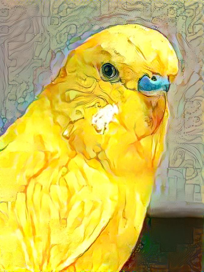 Parakeet2