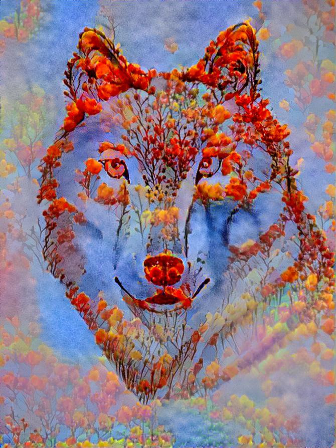 Wolf in red flowers