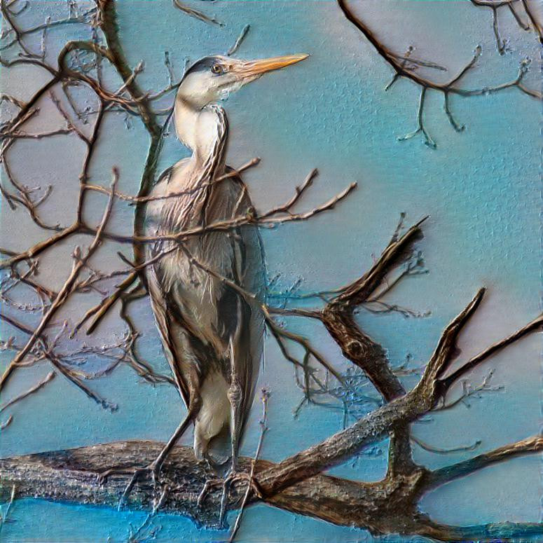 Gray Heron