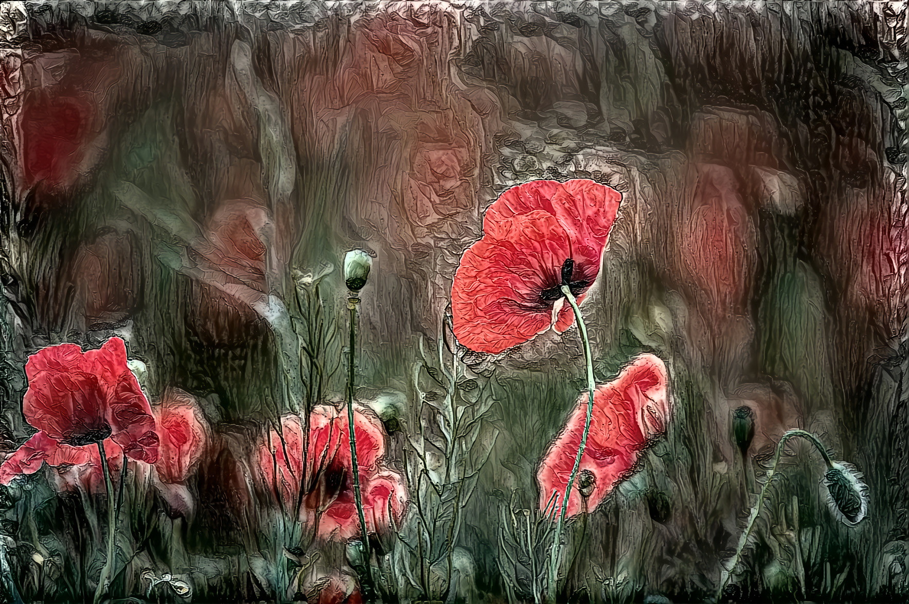 Poppies in the Forest - 02