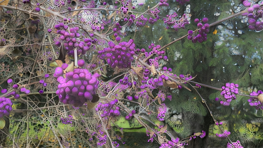 Purple berries