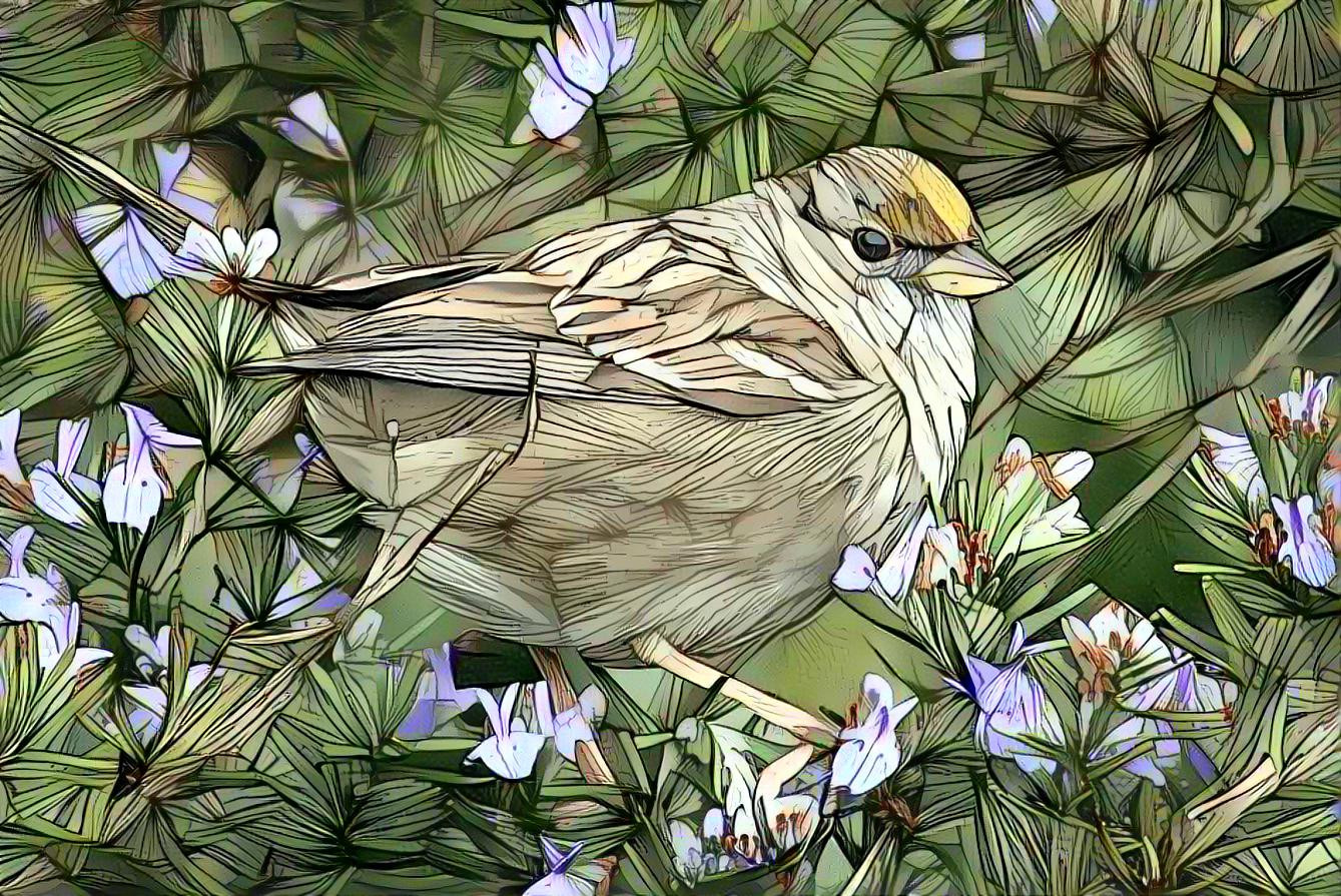 Spring Bird