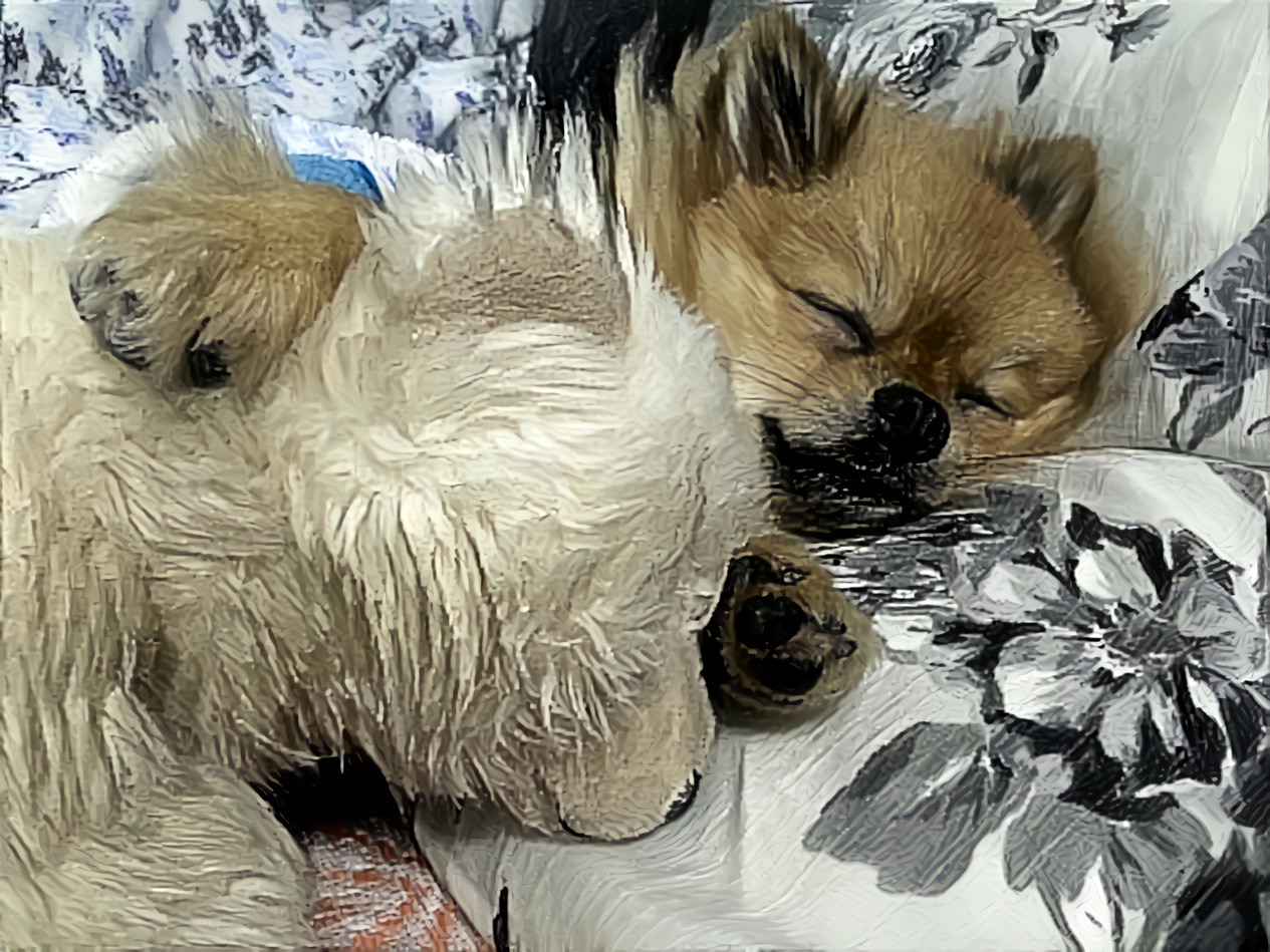 Yoda sleeping with his polar bear