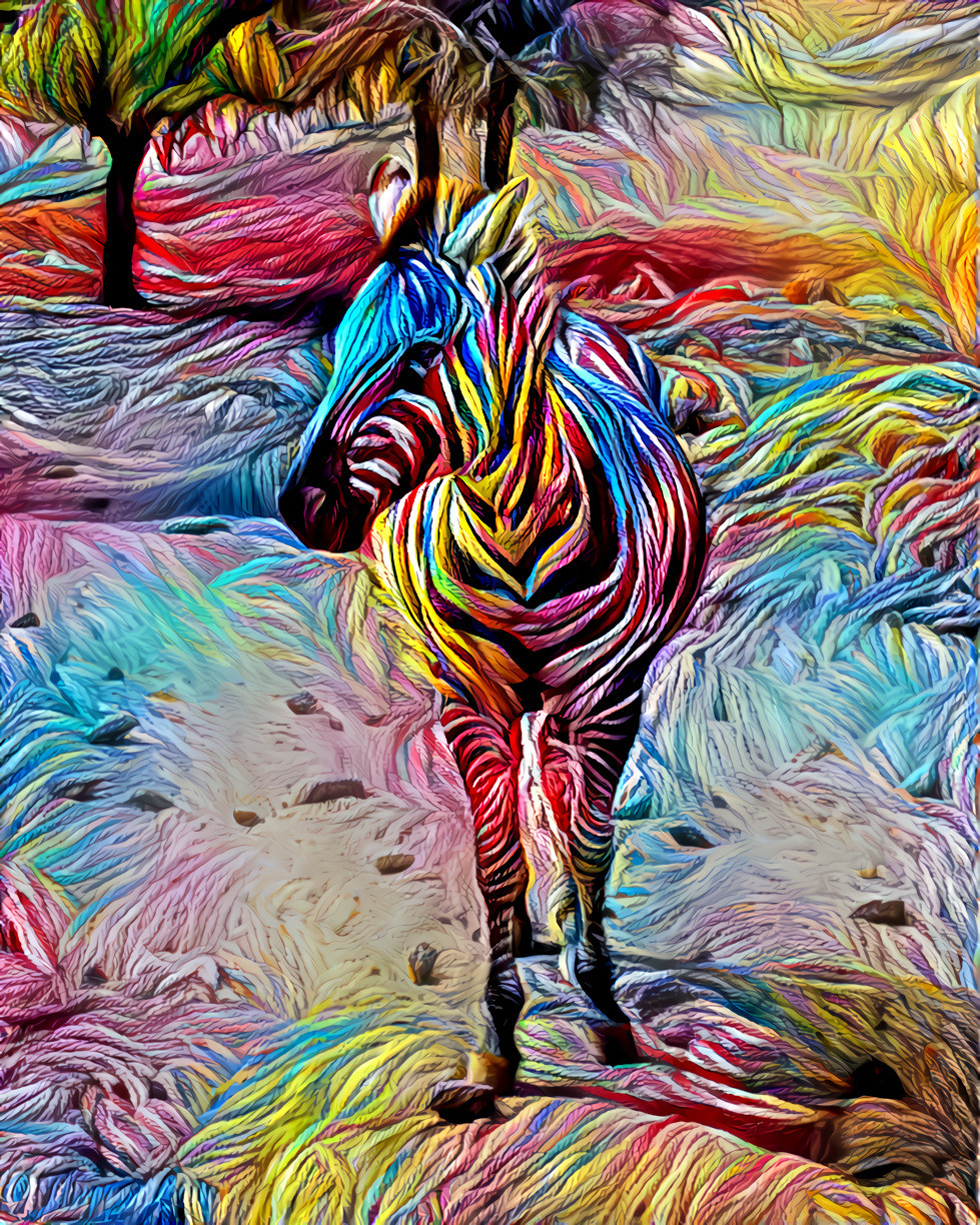 Zebra