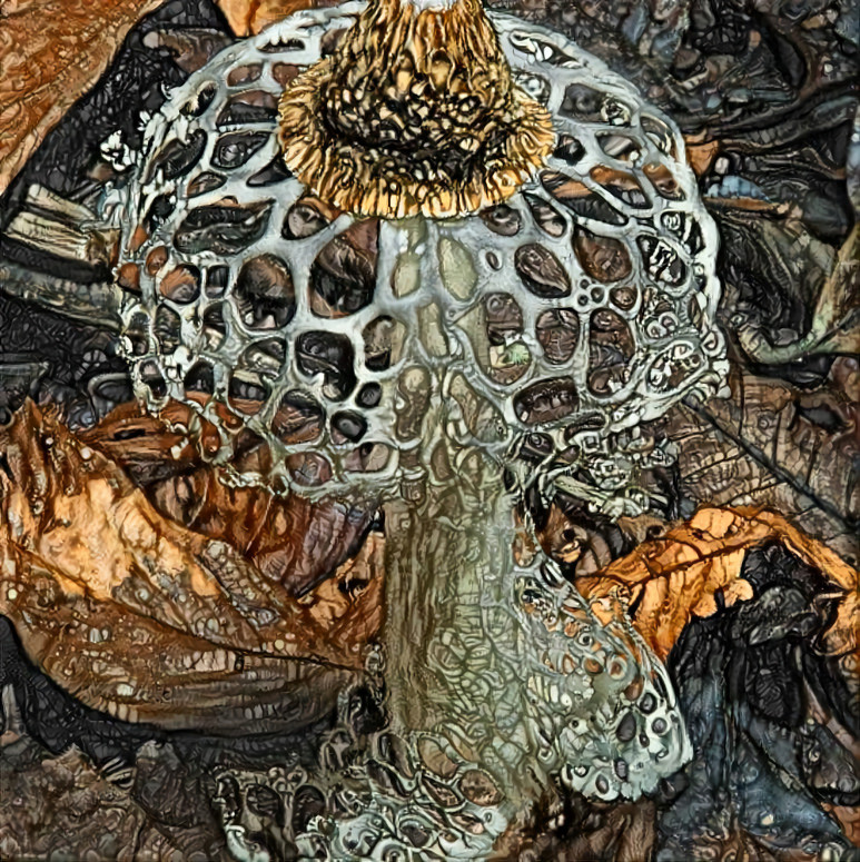 Forest Shroom