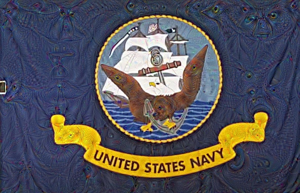 Navy