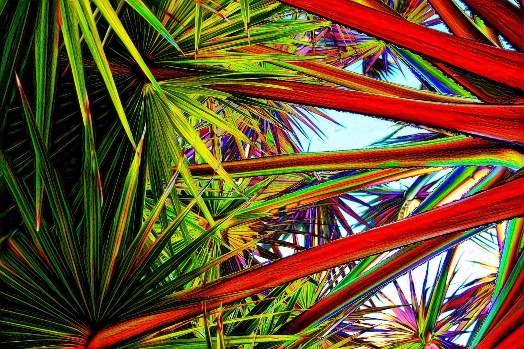 Abstract Tropical Leaves