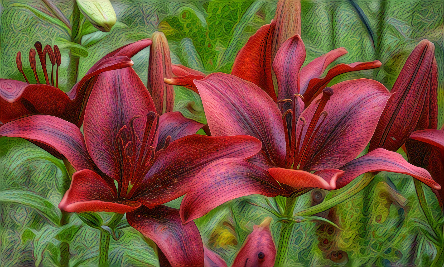 Deep Red Lilies