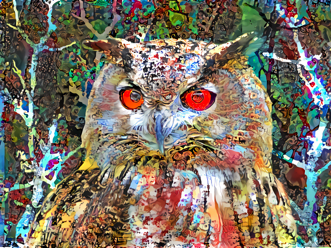 Challenge owl collage 130 60_100