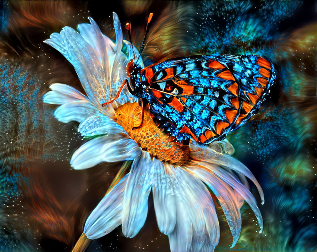 Butterfly