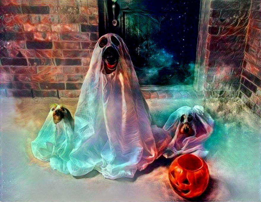 ghost dogs )))