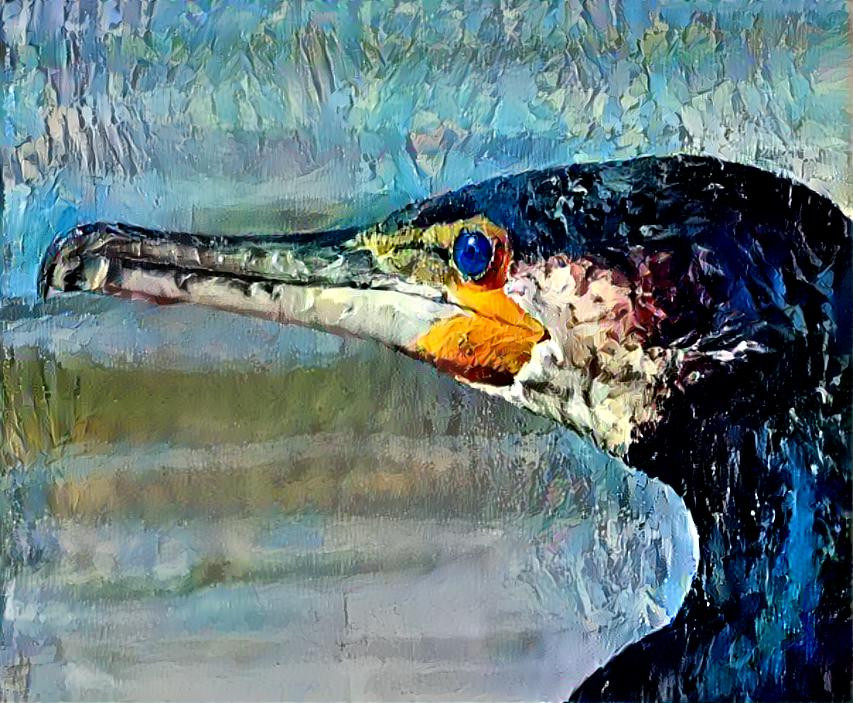 Cormorant