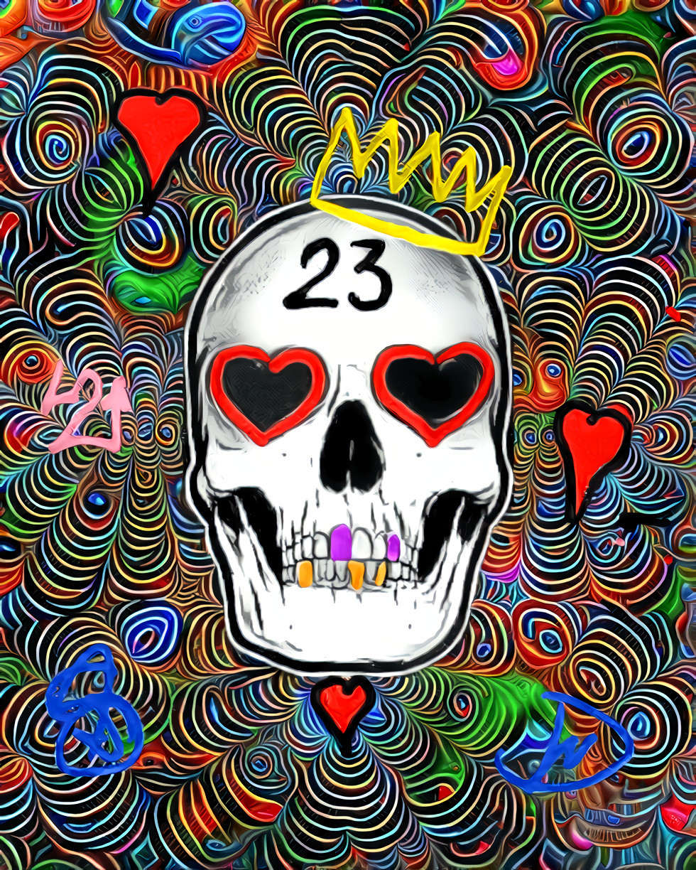 23 skull