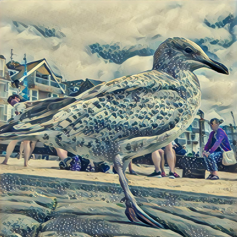 Seagull