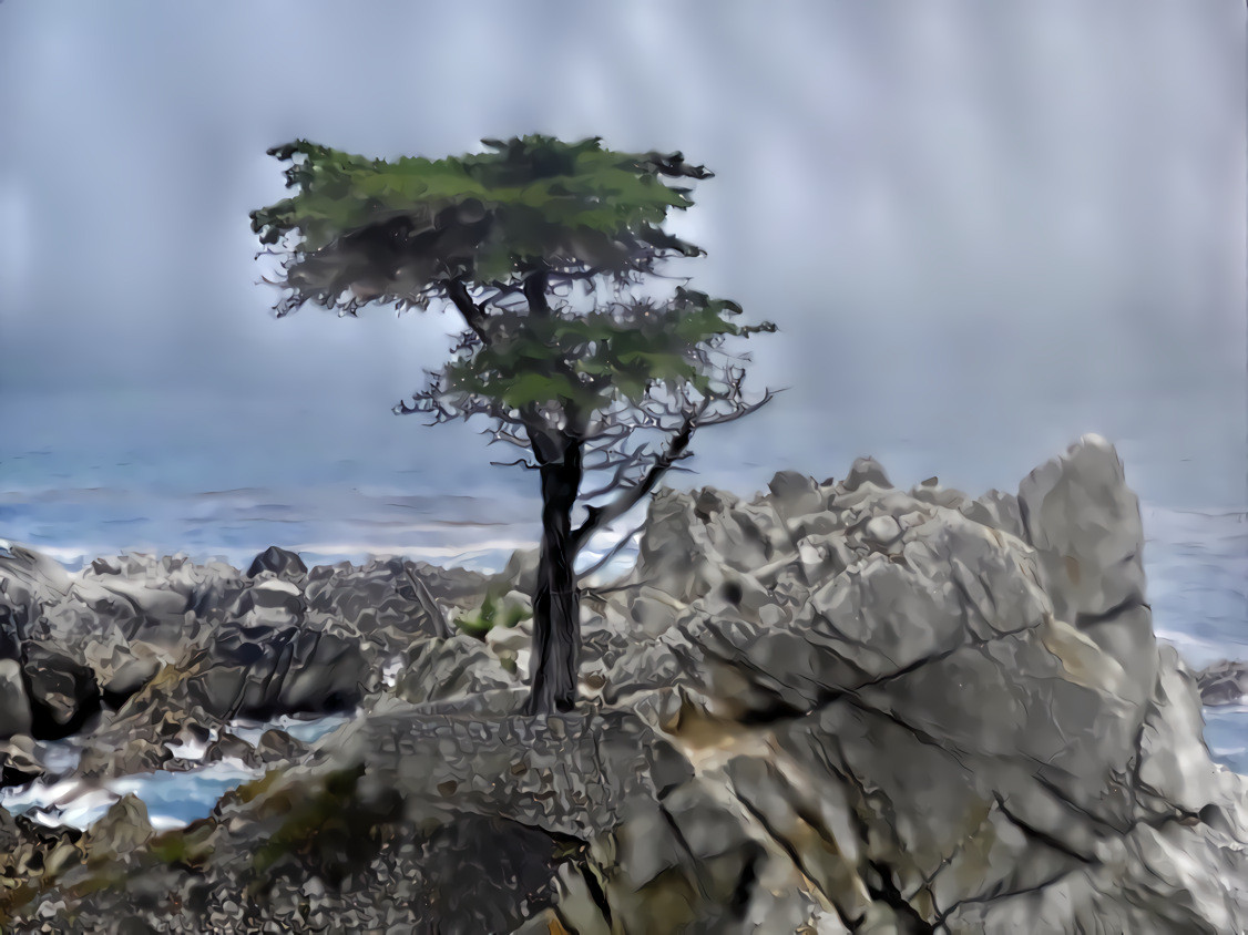 Cypress in the Fog, Carmel