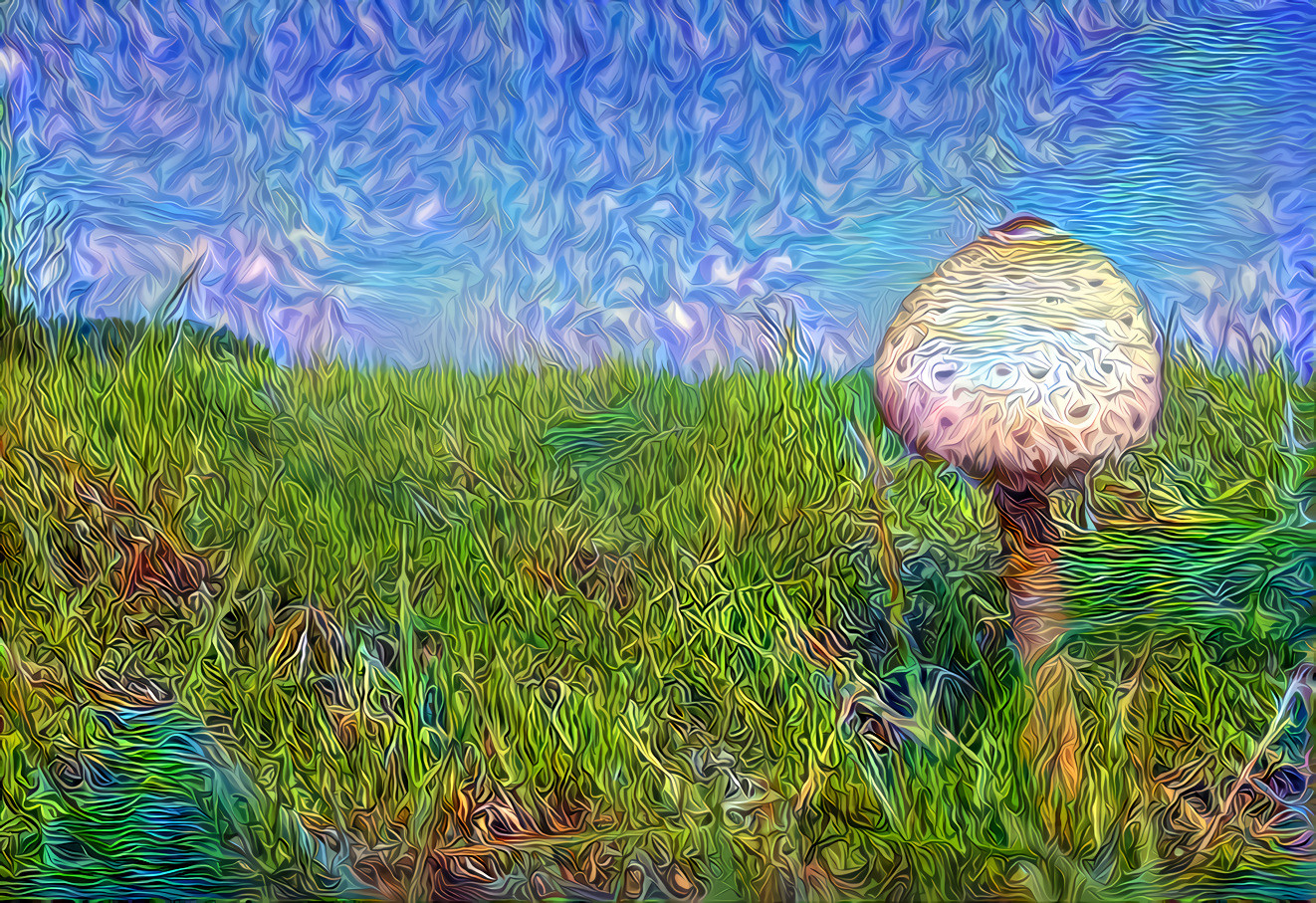 29 Sep 2021 - A mushroom (reupload) (fix)