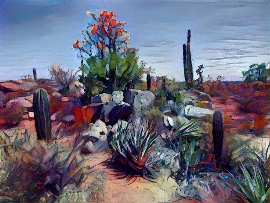 Cataviña Boulder Fields. Baja California MX