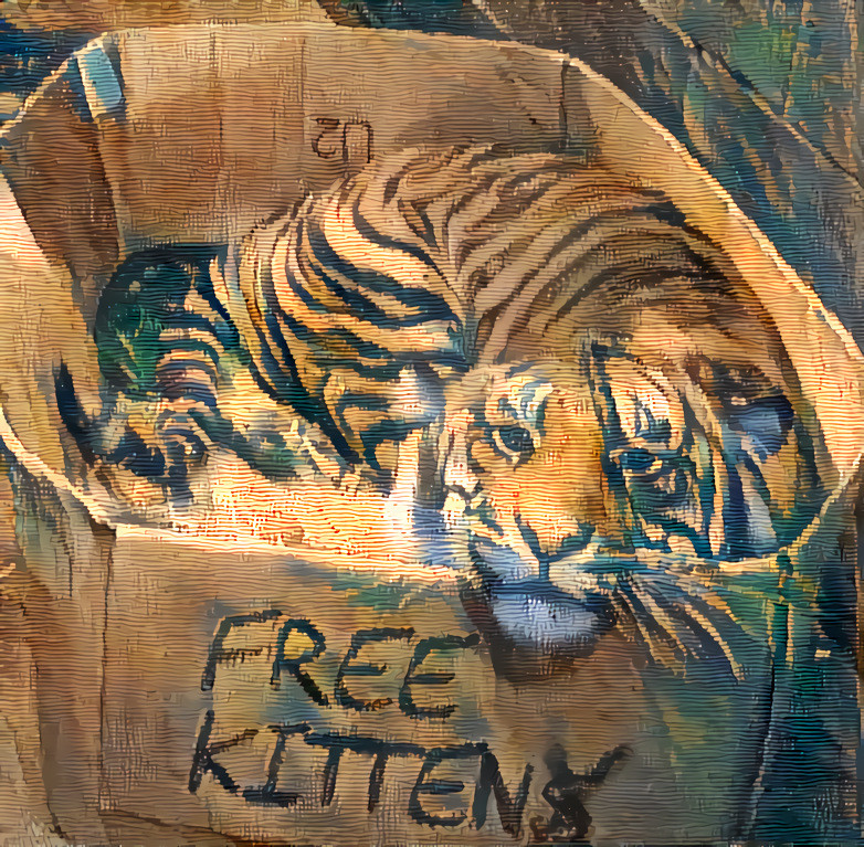 Free Kitten