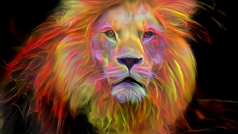 Deep Dream: Lion