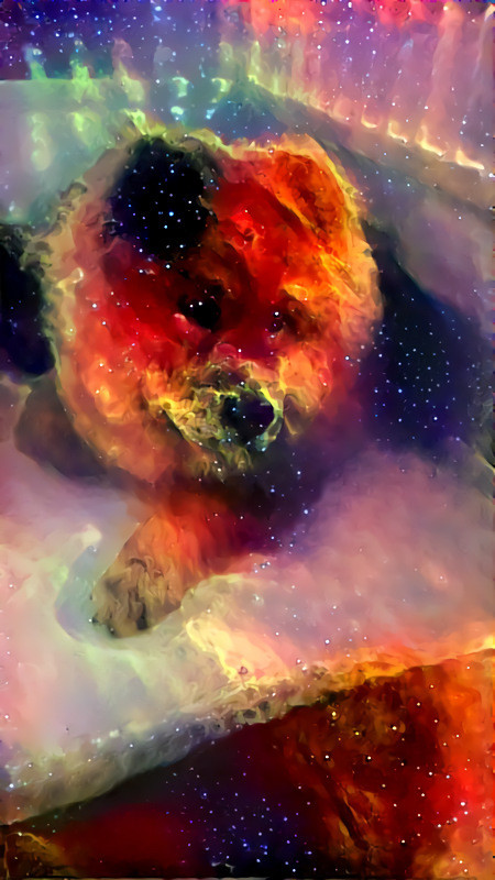 Chow chow nebula 