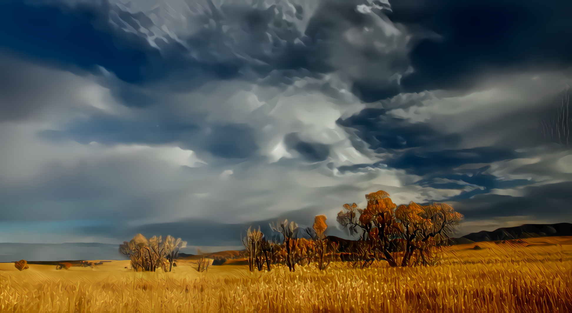 Grassland and Sky