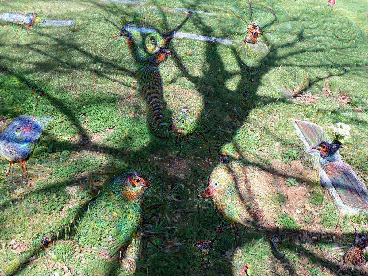 Tree Shadow