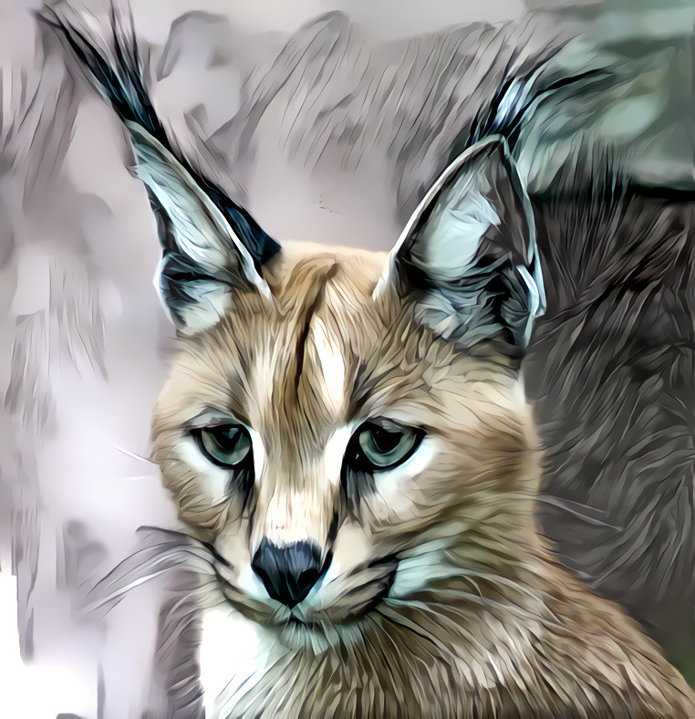 Caracal