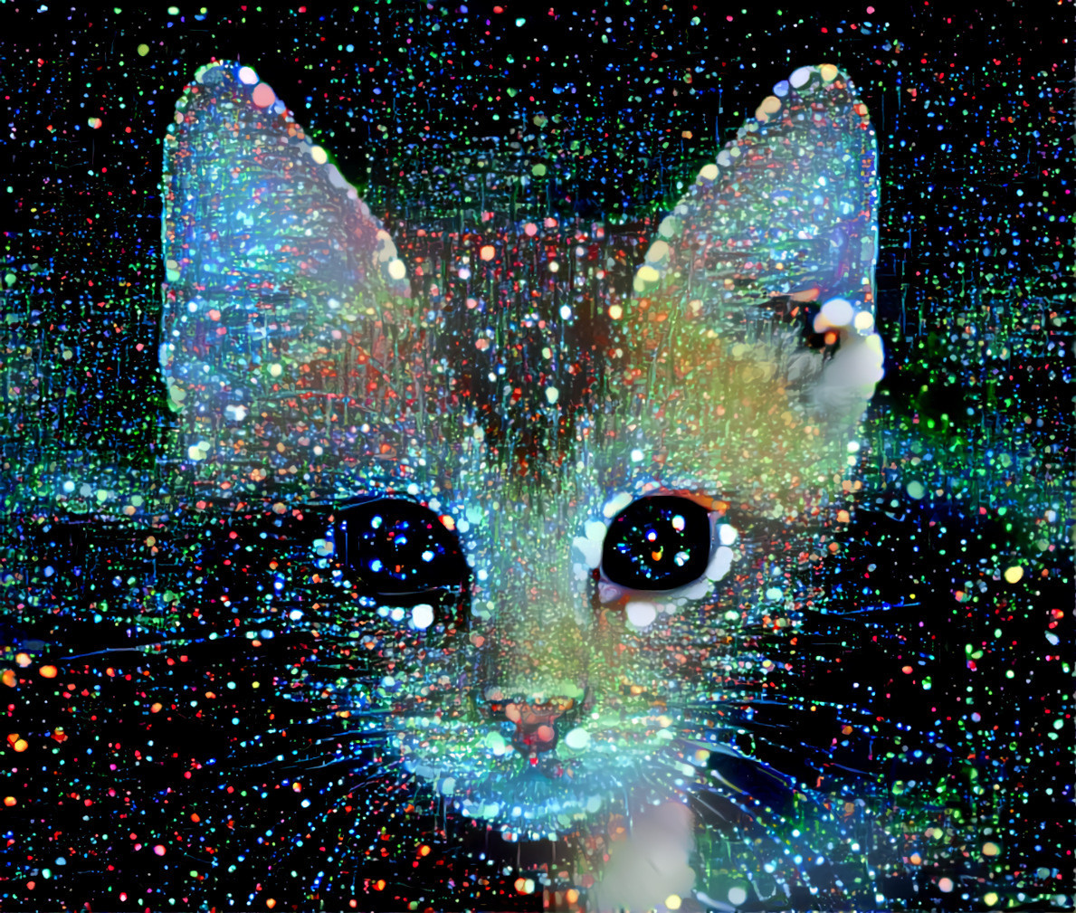 Space cat