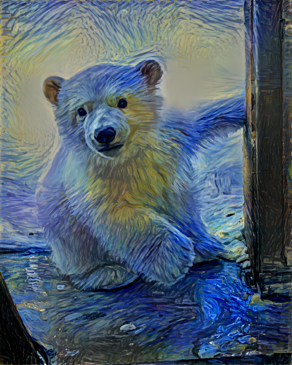 starry night bear