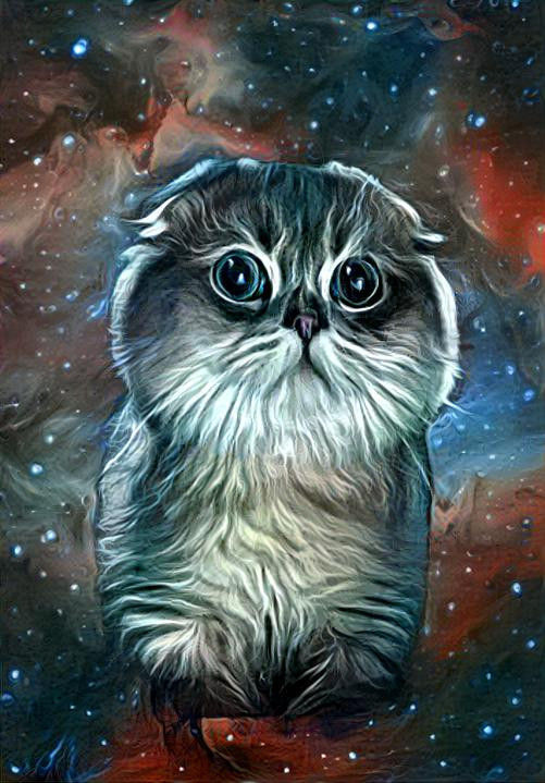 DMT Cat