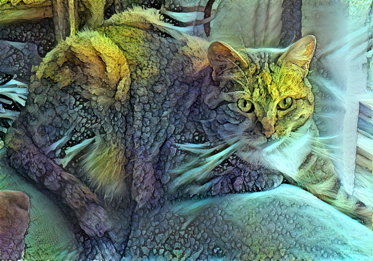 color wash cat II