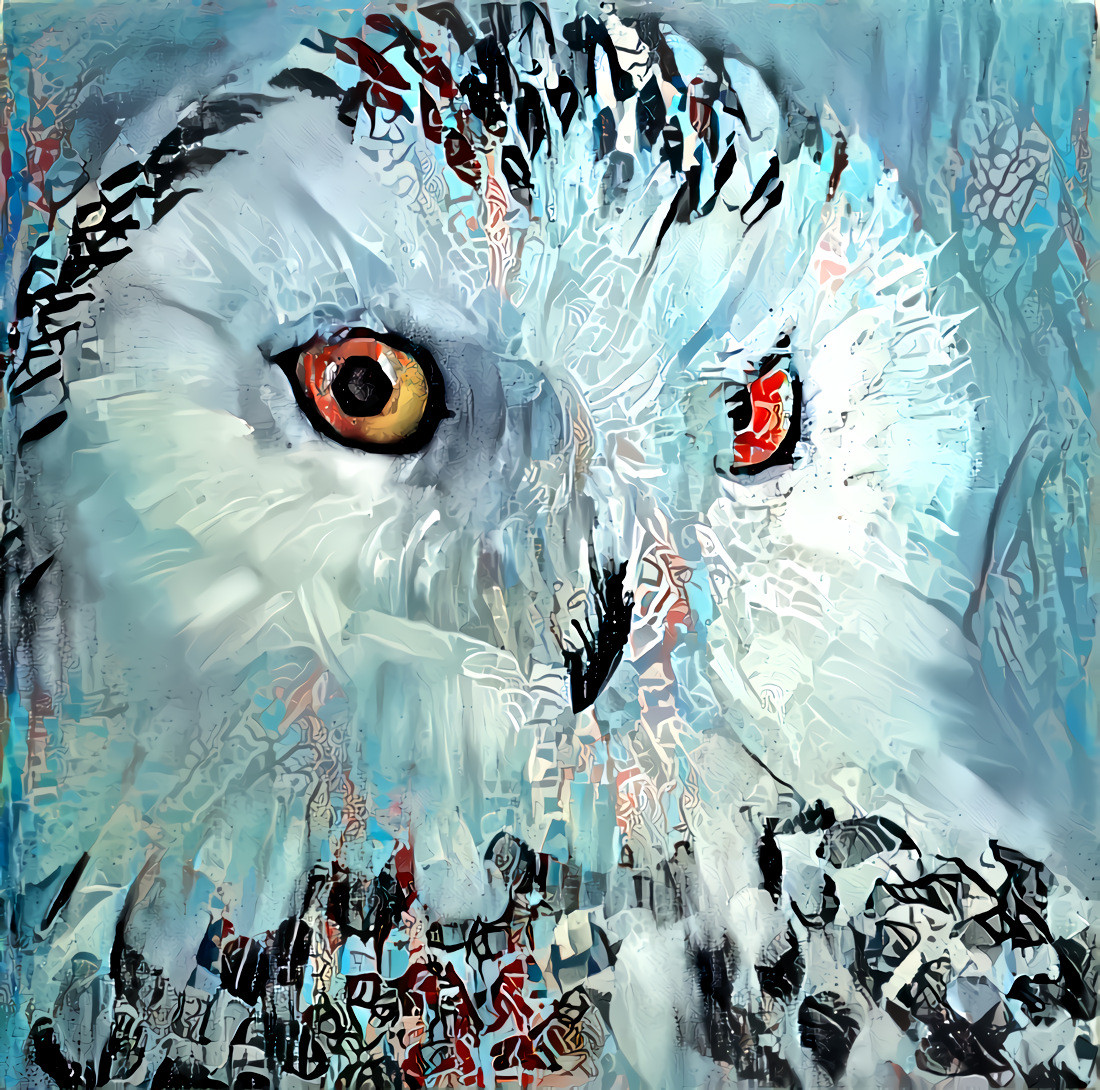 Snowy owl