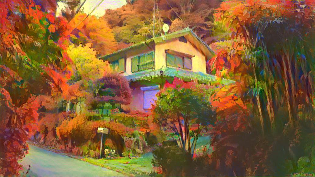 Somewhere in Japan + Steam: Autumn Leaves