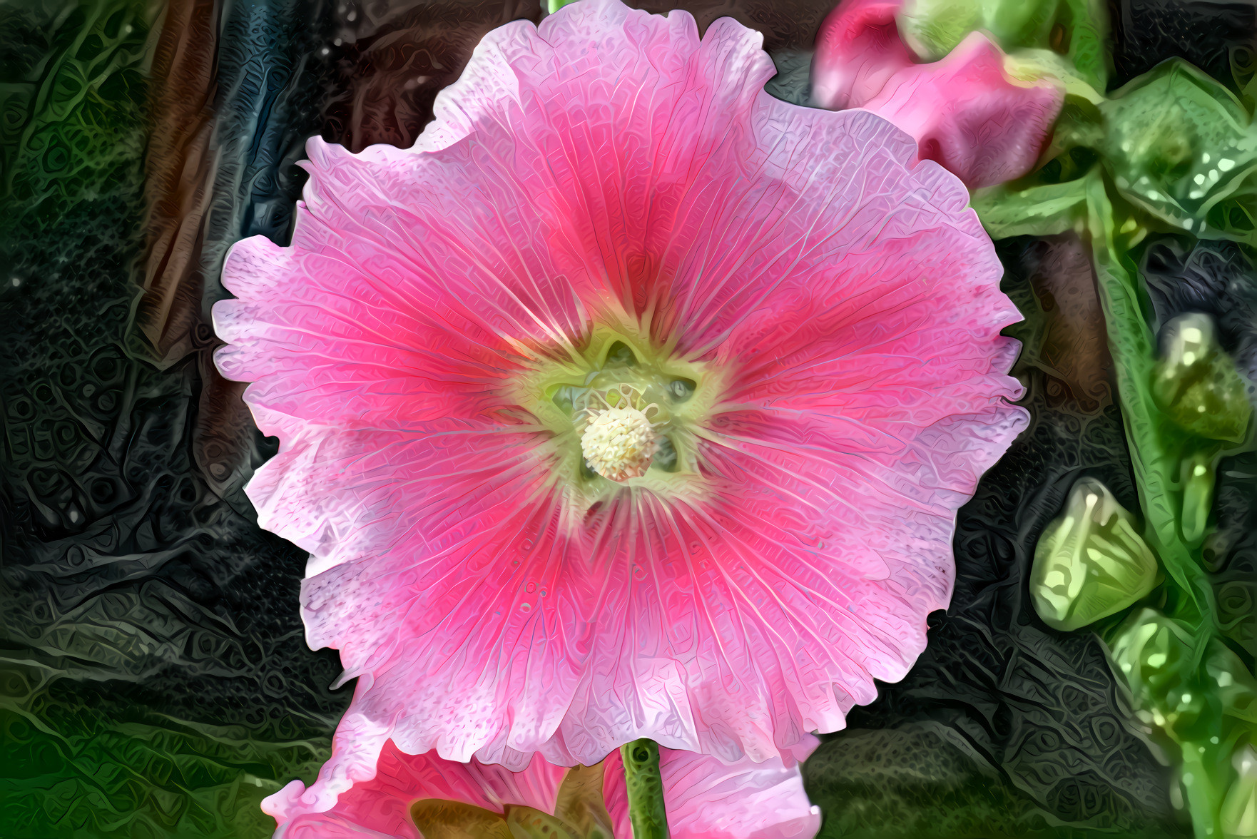 Mallow Flower