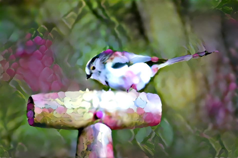 Long-tailed tit