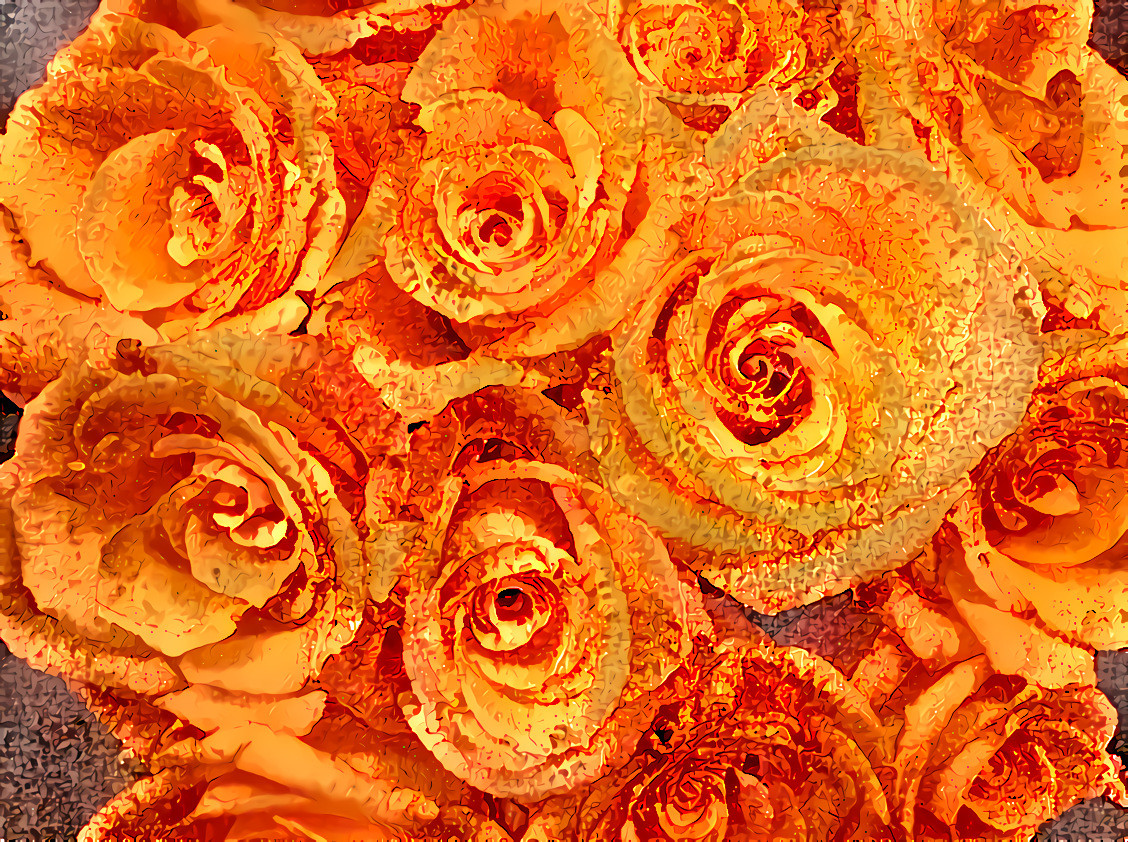 Orange Roses #3