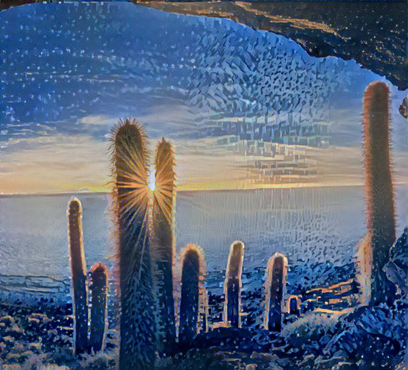 Cactus Sunset