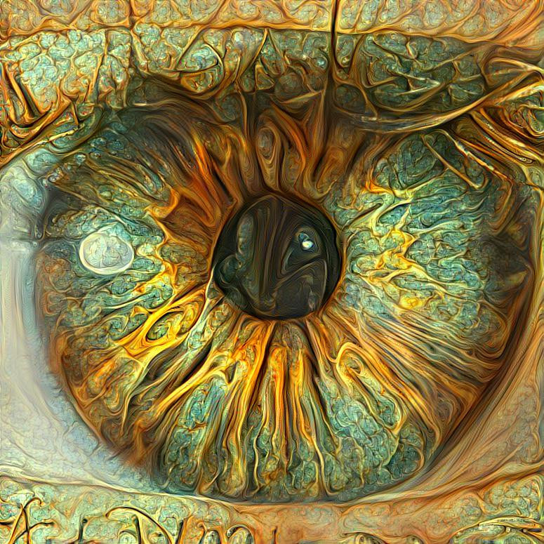 Eye