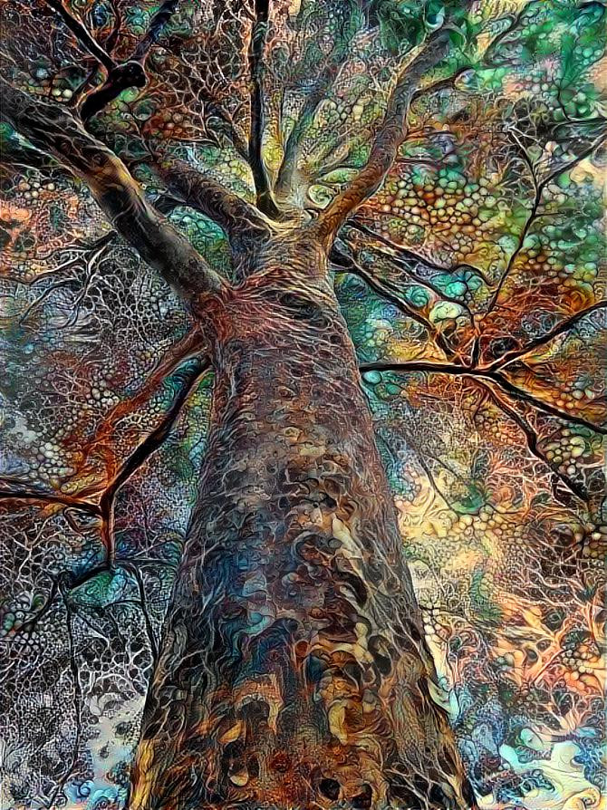 Tree Of Life...