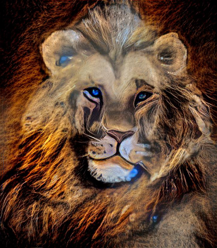 My Lion