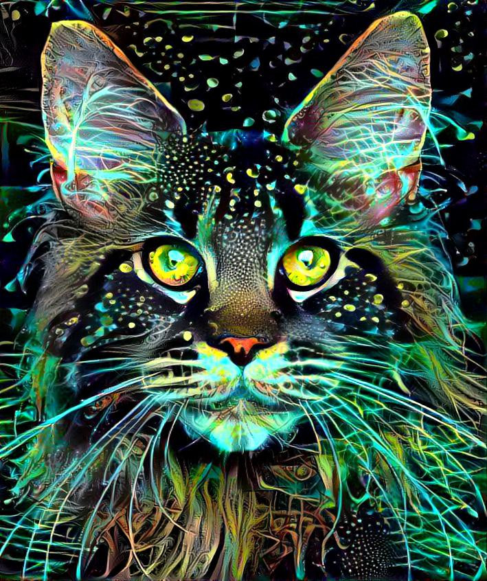 Mystic Cat