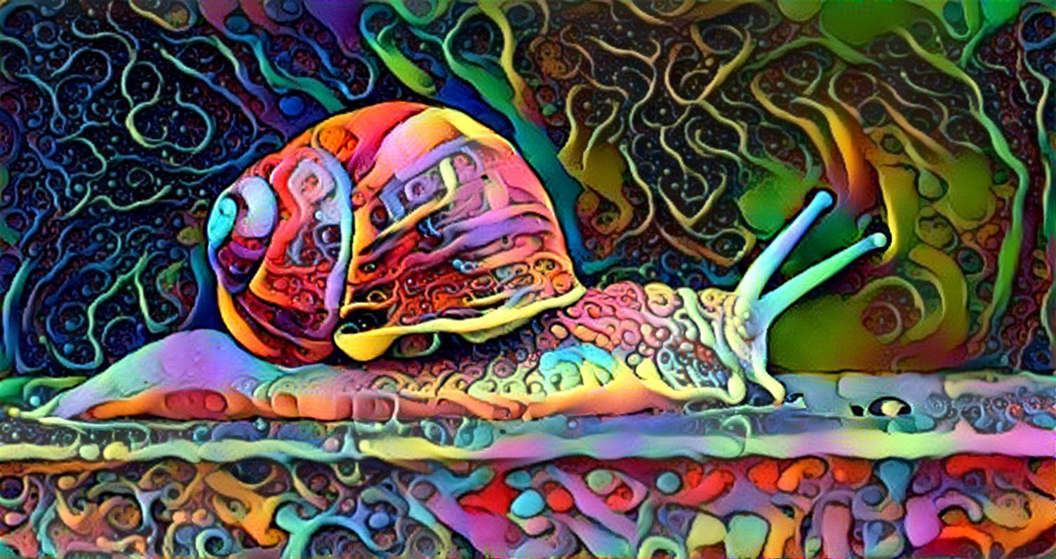 Psychedelic Snail