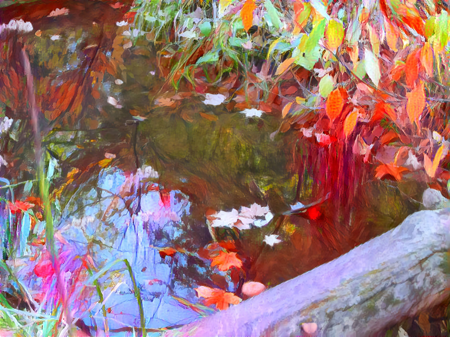 Reflections in a forest pool